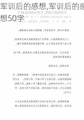 军训后的感想,军训后的感想50字-第3张图片-安安范文网