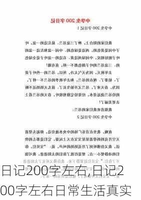 日记200字左右,日记200字左右日常生活真实-第2张图片-安安范文网