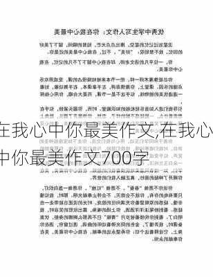 在我心中你最美作文,在我心中你最美作文700字-第2张图片-安安范文网