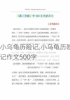 小乌龟历险记,小乌龟历险记作文500字-第3张图片-安安范文网