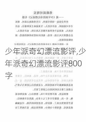 少年派奇幻漂流影评,少年派奇幻漂流影评800字-第2张图片-安安范文网