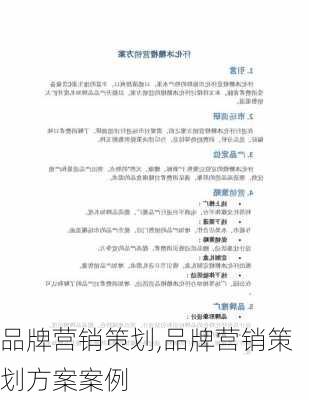 品牌营销策划,品牌营销策划方案案例-第1张图片-安安范文网