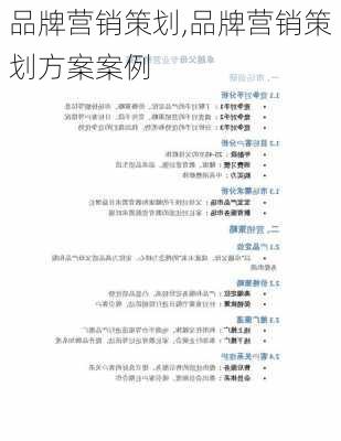 品牌营销策划,品牌营销策划方案案例-第2张图片-安安范文网