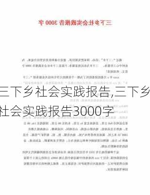 三下乡社会实践报告,三下乡社会实践报告3000字-第2张图片-安安范文网