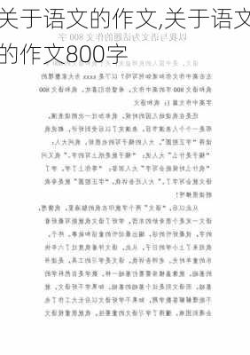 关于语文的作文,关于语文的作文800字-第2张图片-安安范文网