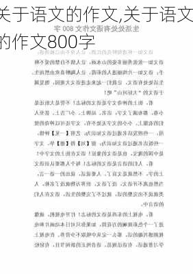 关于语文的作文,关于语文的作文800字-第1张图片-安安范文网