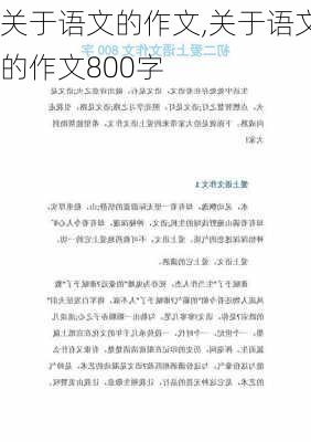 关于语文的作文,关于语文的作文800字-第3张图片-安安范文网