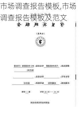 市场调查报告模板,市场调查报告模板及范文-第3张图片-安安范文网