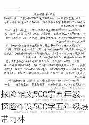 探险作文500字五年级,探险作文500字五年级热带雨林-第2张图片-安安范文网