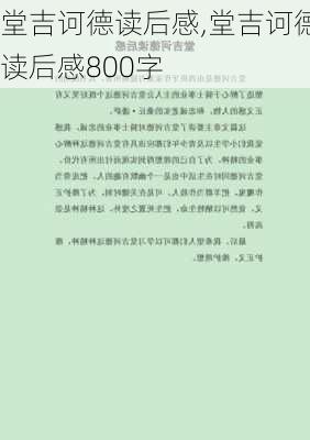 堂吉诃德读后感,堂吉诃德读后感800字