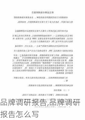 品牌调研报告,品牌调研报告怎么写-第1张图片-安安范文网