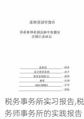 税务事务所实习报告,税务师事务所的实践报告-第3张图片-安安范文网