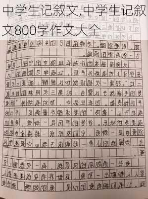 中学生记叙文,中学生记叙文800字作文大全-第2张图片-安安范文网