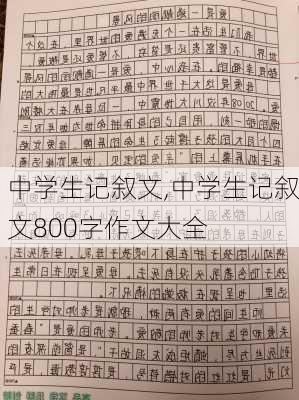 中学生记叙文,中学生记叙文800字作文大全-第1张图片-安安范文网