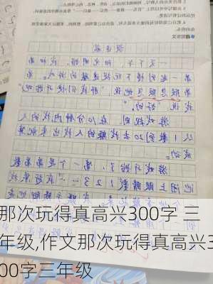 那次玩得真高兴300字 三年级,作文那次玩得真高兴300字三年级-第3张图片-安安范文网