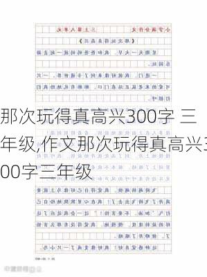 那次玩得真高兴300字 三年级,作文那次玩得真高兴300字三年级