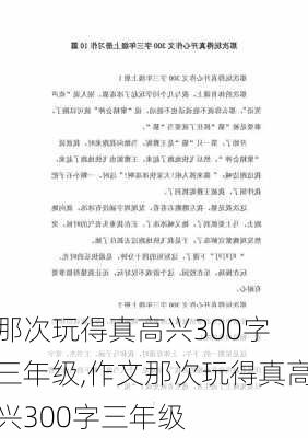 那次玩得真高兴300字 三年级,作文那次玩得真高兴300字三年级-第2张图片-安安范文网