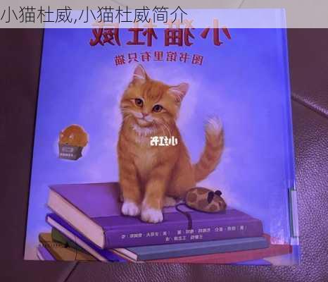 小猫杜威,小猫杜威简介-第2张图片-安安范文网