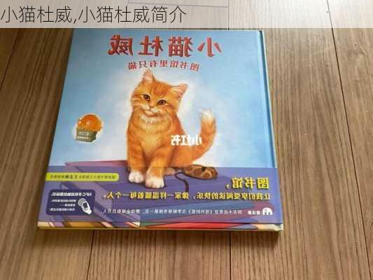 小猫杜威,小猫杜威简介-第3张图片-安安范文网