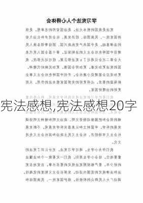 宪法感想,宪法感想20字-第3张图片-安安范文网