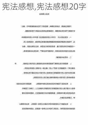 宪法感想,宪法感想20字-第2张图片-安安范文网