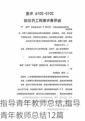 指导青年教师总结,指导青年教师总结12篇-第2张图片-安安范文网