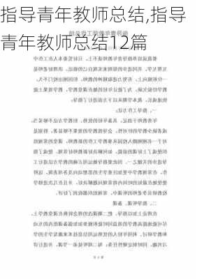 指导青年教师总结,指导青年教师总结12篇-第3张图片-安安范文网