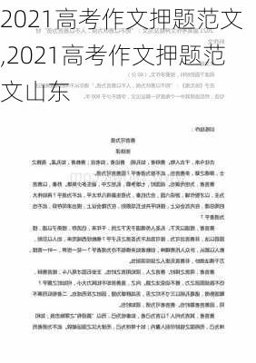 2021高考作文押题范文,2021高考作文押题范文山东-第3张图片-安安范文网