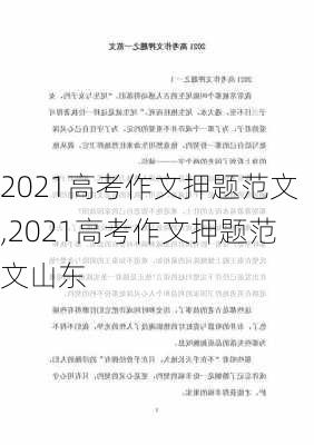 2021高考作文押题范文,2021高考作文押题范文山东-第2张图片-安安范文网