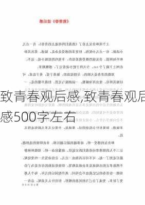 致青春观后感,致青春观后感500字左右-第2张图片-安安范文网